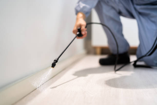 Bed Bug Pre-Treatment Preparation Assessment in Whiskey Creek