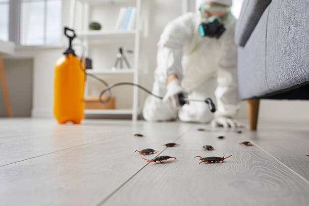 Post-Treatment Bed Bug Interceptor Monitoring in Whiskey Creek