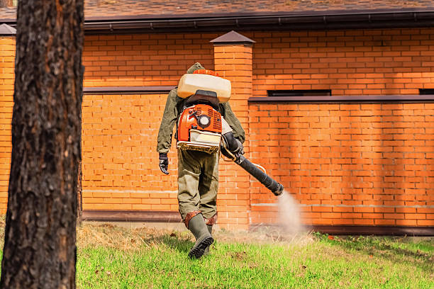 Bed Bug Clearance Verification and Documentation in Whiskey Creek